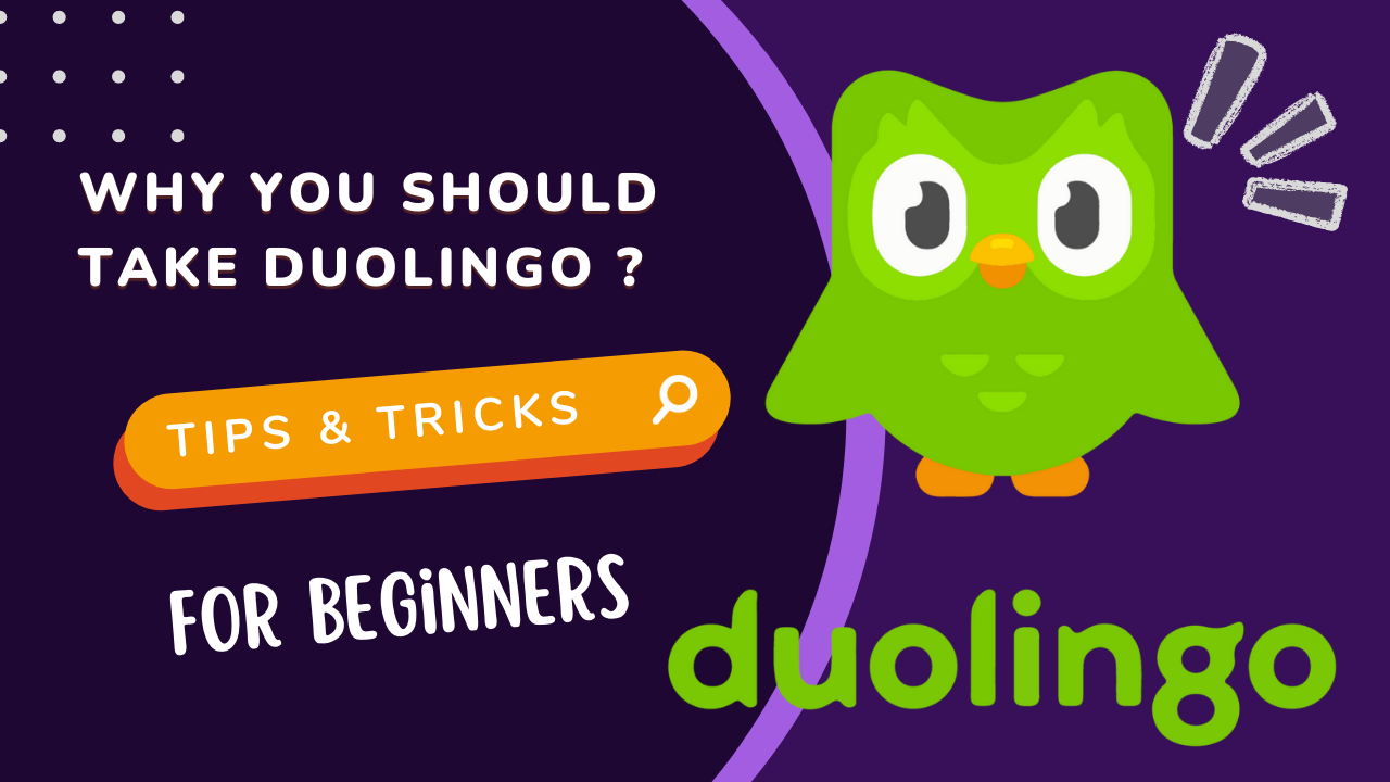 Why you should take Duolingo? - Cover Image